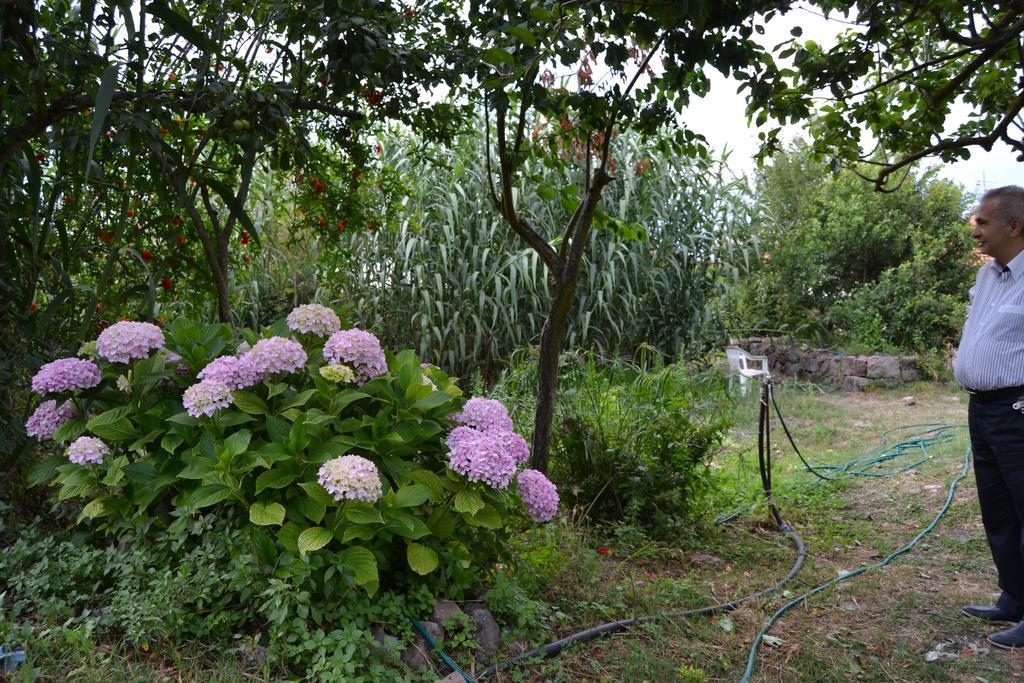 Su Cantaru Guesthouse Villanova Monteleone Buitenkant foto